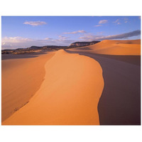 Wind ripples in sand dunes beneath sandstone cliffs, Coral Pink Sand Dunes State Park, Utah-Paper Art-42"x32"