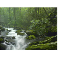 Roaring Fork River flowing through forest in Great Smoky Mountains National Park, Tennessee-Paper Art-50"x38"