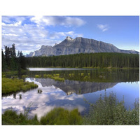 Mount Rundle and boreal forest reflected in Johnson Lake, Banff National Park, Alberta, Canada-Paper Art-37"x30"
