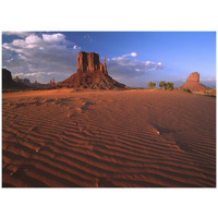 The east and west Mittens surrounded by rippled sand, Monument Valley Navajo Tribal Park, Arizona-Paper Art-42"x32"