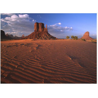 The east and west Mittens surrounded by rippled sand, Monument Valley Navajo Tribal Park, Arizona-Paper Art-50"x38"