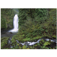 Multnomah Falls cascading through temperate rainforest, Columbia River Gorge near Portland, Oregon-Paper Art-18"x14"