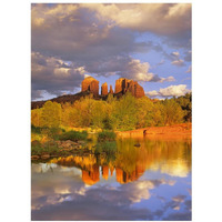 Cathedral Rock reflected in Oak Creek at Red Rock Crossing, Red Rock State Park near Sedona, Arizona-Paper Art-14"x18"