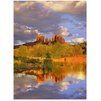 Cathedral Rock reflected in Oak Creek at Red Rock Crossing, Red Rock State Park near Sedona, Arizona-Paper Art-20"x26"
