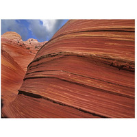 Detail of The Wave, a Navajo sandstone formation in Paria Canyon-Vermilion Cliffs Wilderness, Arizona-Paper Art-26"x20"