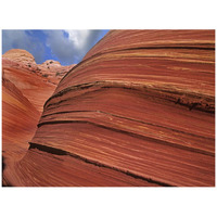 Detail of The Wave, a Navajo sandstone formation in Paria Canyon-Vermilion Cliffs Wilderness, Arizona-Paper Art-42"x32"
