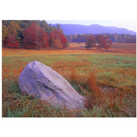 Boulder and autumn colored deciduous forest, Cades Cove, Great Smoky Mountains National Park, Tennessee-Paper Art-18"x14"