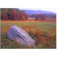 Boulder and autumn colored deciduous forest, Cades Cove, Great Smoky Mountains National Park, Tennessee-Paper Art-50"x38"