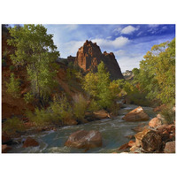 Mt Spry at 5,823 foot elevation with the Virgin River surrounded by Cottonwood trees, Zion National Park, Utah-Paper Art-42"x32"