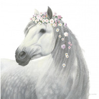 Spirit Stallion II Square -Paper Art-38"x38"