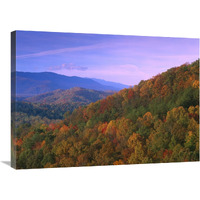 Appalachian Mountains ablaze with fall color, Great Smoky Mountains National Park, North Carolina-Canvas Art-32"x24"
