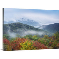 Broadleaf forest in fall colors, Skyline Drive, Shenandoah National Park, Virginia-Canvas Art-40"x30"