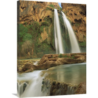 Havasu Creek, lined with Cottonwood trees, Havasu Falls, Grand Canyon, Arizona-Canvas Art-24"x32"