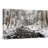 Stream in winter, Nova Scotia, Canada-Canvas Art-30"x20"
