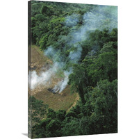 A farmer burns his agricultural field after harvesting the crop in a clearcut area in the forest, Usina Serra Grande, Atlantic Forest, Brazil-Canvas Art-24"x36"
