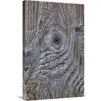 Wind eroded wood, Deception Island, South Shetland Islands, Antarctica-Canvas Art-18.9"x30"