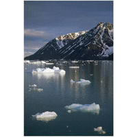 Ice floes in evening light, Spitsbergen Island, Svalbard, Norway-Paper Art-34"x50"