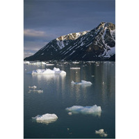 Ice floes in evening light, Spitsbergen Island, Svalbard, Norway-Paper Art-42"x62"