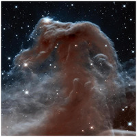 Horsehead Nebula, Infrared View-Paper Art-42"x42"