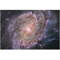 M83 - Spiral Galaxy-Paper Art-50"x34"
