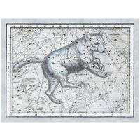 Maps of the Heavens: Ursa Major - The Great Bear-Paper Art-34"x26"
