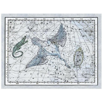Maps of the Heavens: The Swan in the Milkyway-Paper Art-18"x14"