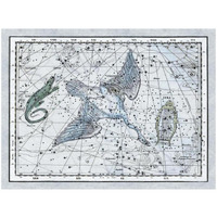 Maps of the Heavens: The Swan in the Milkyway-Paper Art-34"x26"