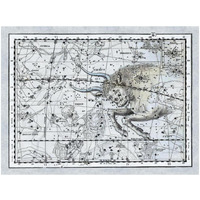 Maps of the Heavens: Taurus the Bull-Paper Art-18"x14"