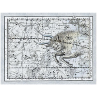 Maps of the Heavens: Taurus the Bull-Paper Art-26"x20"