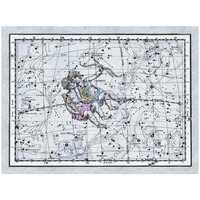 Maps of the Heavens: Gemini - the Twins - Castor and Pollux-Paper Art-26"x20"