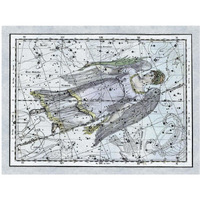 Maps of the Heavens: Virgo the Maiden-Paper Art-42"x32"
