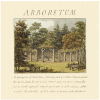 Arboretum, 1813-Paper Art-38"x38"