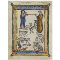 Bestiary of Hugo de Fouilloy-Paper Art-26"x34"