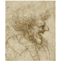 Caricature of a Man with Bushy Hair-Paper Art-20"x24"