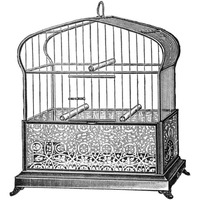 Etchings: Birdcage - Onion-peak top, filigree pattern base-Paper Art-38"x38"