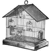 Etchings: Birdcage - Peaked top, twisted wire detail.-Paper Art-32"x32"
