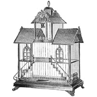 Etchings: Birdcage - Victorian house with steps.-Paper Art-20"x20"