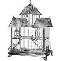 Etchings: Birdcage - Victorian house with steps.-Paper Art-26"x26"