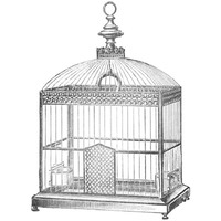 Etchings: Birdcage - Arched top, filigree detail.-Paper Art-38"x38"