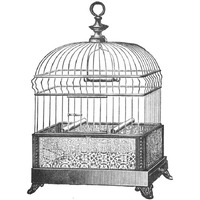 Etchings: Birdcage - Gable top, filigree base.-Paper Art-20"x20"
