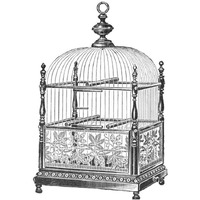 Etchings: Birdcage - Dome top, spindle corners, vine detail base.-Paper Art-20"x20"