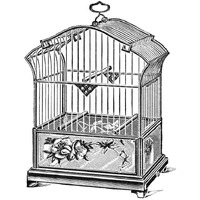 Etchings: Birdcage - Gable top, rose base.-Paper Art-26"x26"