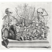 Diorama of fetal skeletons arranged with various internal organs-Paper Art-24"x22"