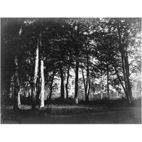 Fontainebleau, 1849 - Study of Trees and Pathways-Paper Art-24"x19"