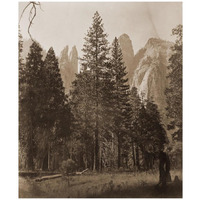 Cathedral Spires - Yosemite, California, 1861-Paper Art-15"x18"