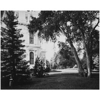 Thurlow Lodge - Lawn and House. From Barron Cluster. Black and white.-Paper Art-22"x18"
