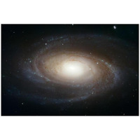 Spiral Galaxy M81-Paper Art-32"x22"