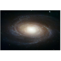 Spiral Galaxy M81-Paper Art-50"x34"