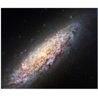 Spiral Galaxy NGC6503-Paper Art-38"x32"