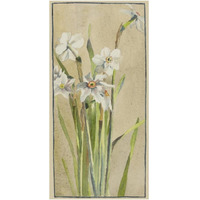 White Narcissus with Gray Accents-Paper Art-20"x38"